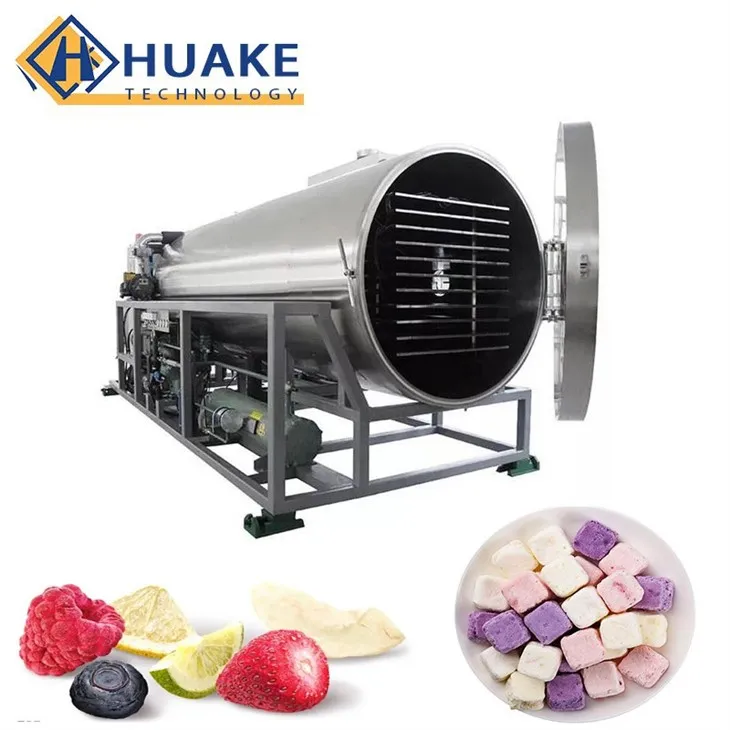 Vacuum Freeze Dryer Supplier